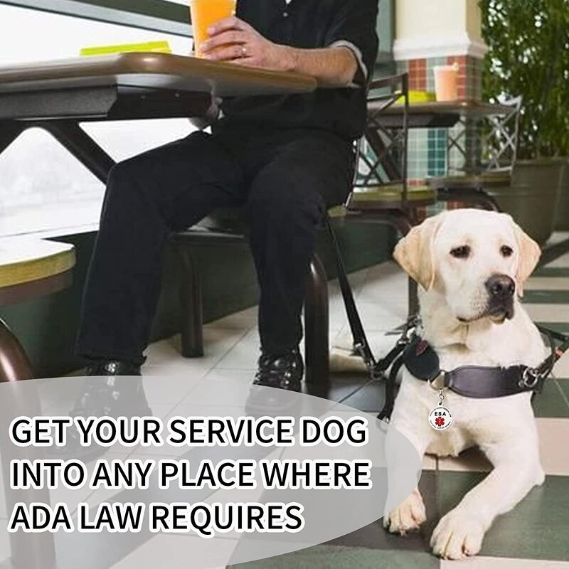 Pet Tag Supplier - Wholesale Medical Alert Stainless Steel Dog ID Tag