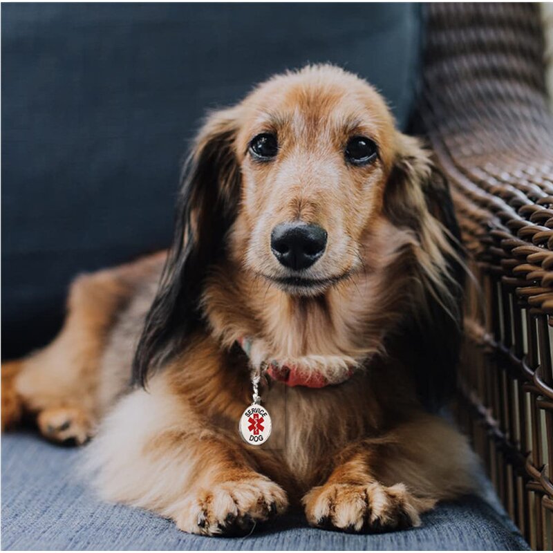 Pet ID Tag Factory - Custom Engraved Stainless Steel Service Dog Tag