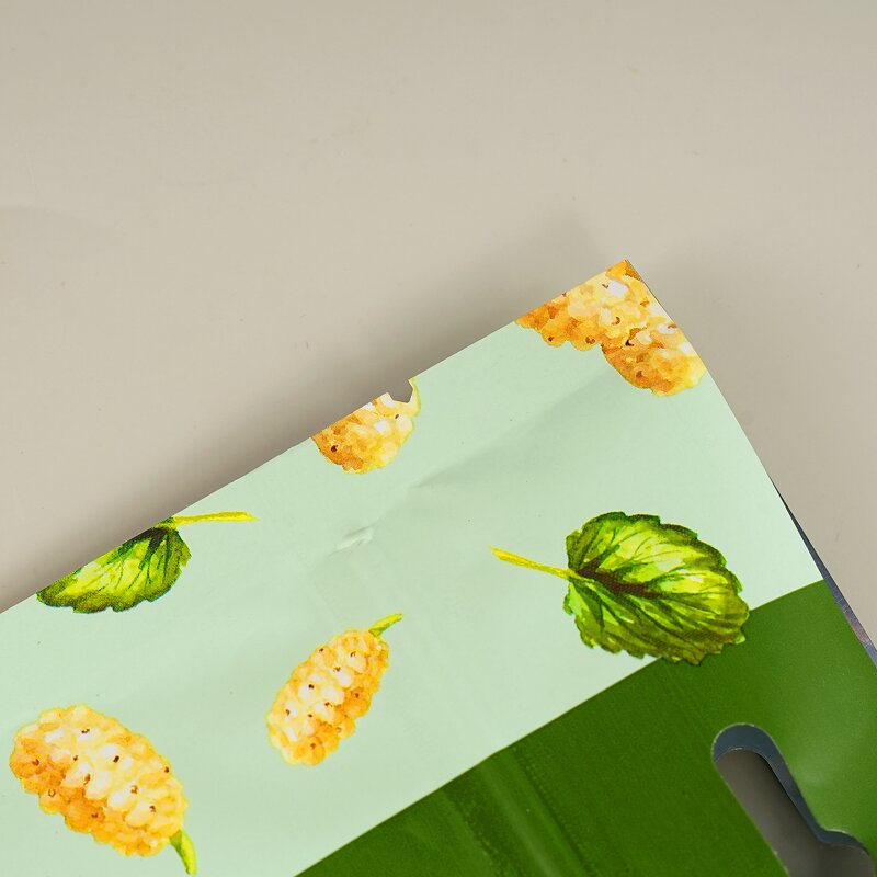 Resealable Stand up Pouch Supplier - Wins Flying Aluminum Foil Doypack Mylar Candy Snacks Storage Plastic Food