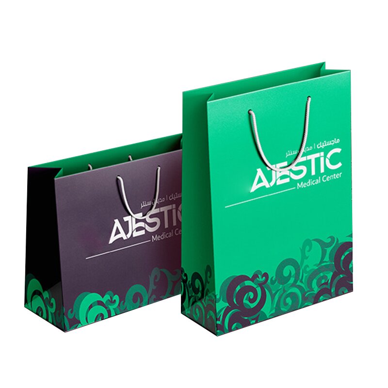 Paper Gift Bag Manufacturer - Wins Flying Multiple Color Printed Flat Handle Big for Gift Shopping