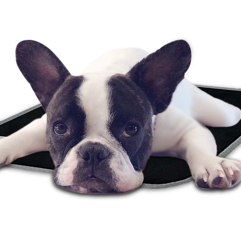 Large Heated Pet Pad Factory - 360 Degree Constant Temperature Health Care Beds Waterproof