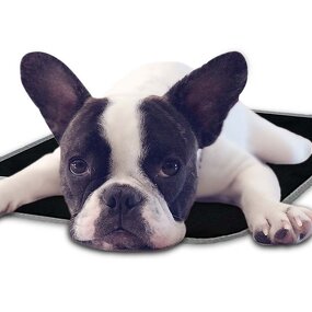 Heated Pet Bed Supplier - Hot Selling Electronic Products for Dog and Cat Small Animal