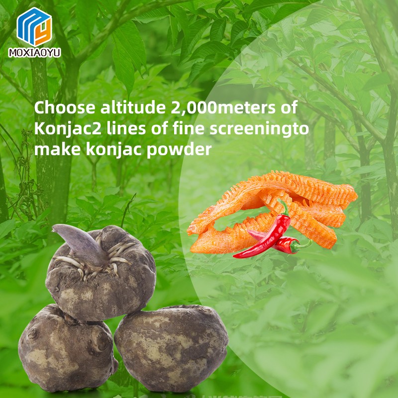 Konjac Snacks Manufacturer - Good Selling Low Calorie Vegan Delicious