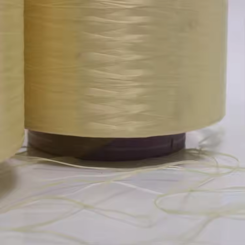 Para-Aramid Filament Yarn - Multi-Denier 400D-3000D Fireproof for Rope Sewing