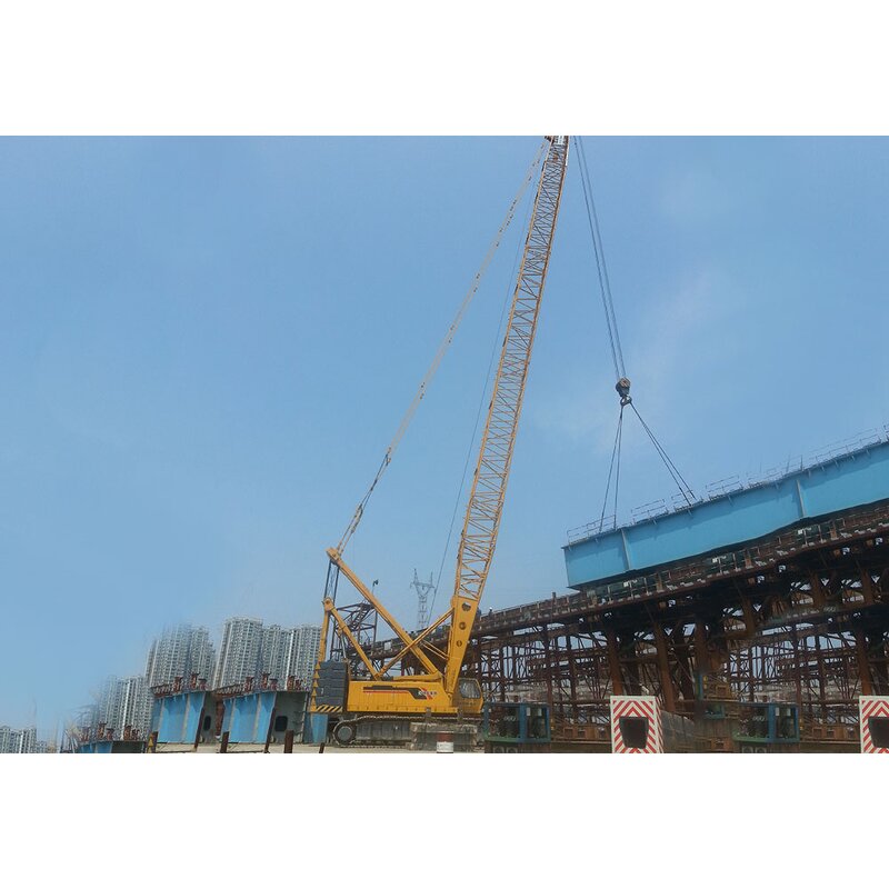 Crawler Crane Manufacturer - 250 Ton QUY250 Lifting China New