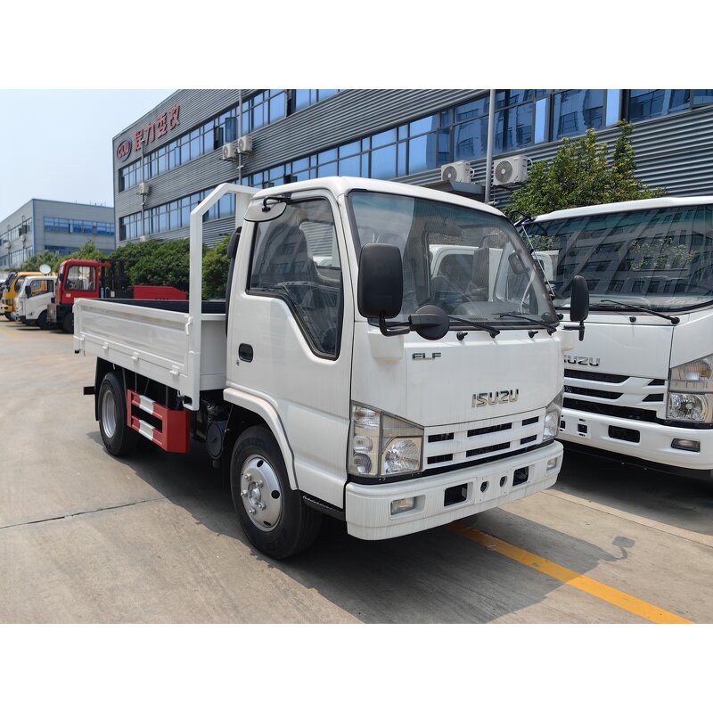 Cargo Truck Manufacturer - Isuzu 100hp 120hp 4x2 Mini Light Truck