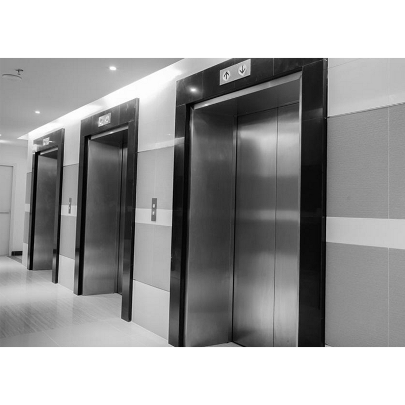 Electric Residential Elevator Manufacturer - Indoor Outdoor Small Home Lift Hot Sale