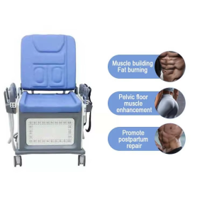 EMS Machine Manufacturer - Whole Body Massage Pain Relief