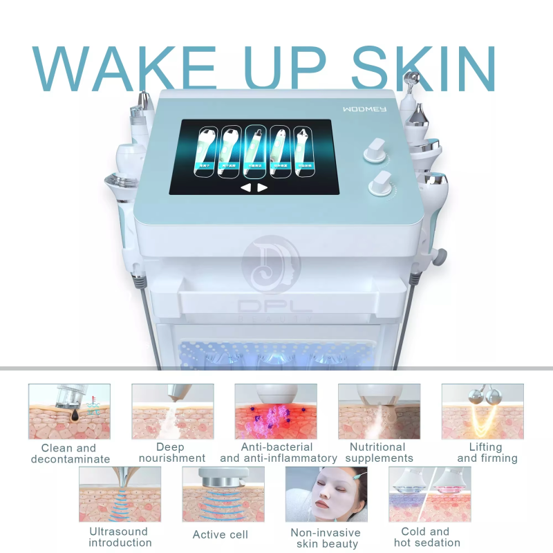 Aqua Peel Machine Factory - SPA906 15 in 1 Facial Rejuvenation