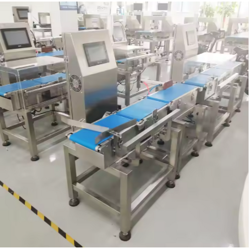 Checkweigher Machine - Industrial Customizable OEM ODM Conveyor Belt