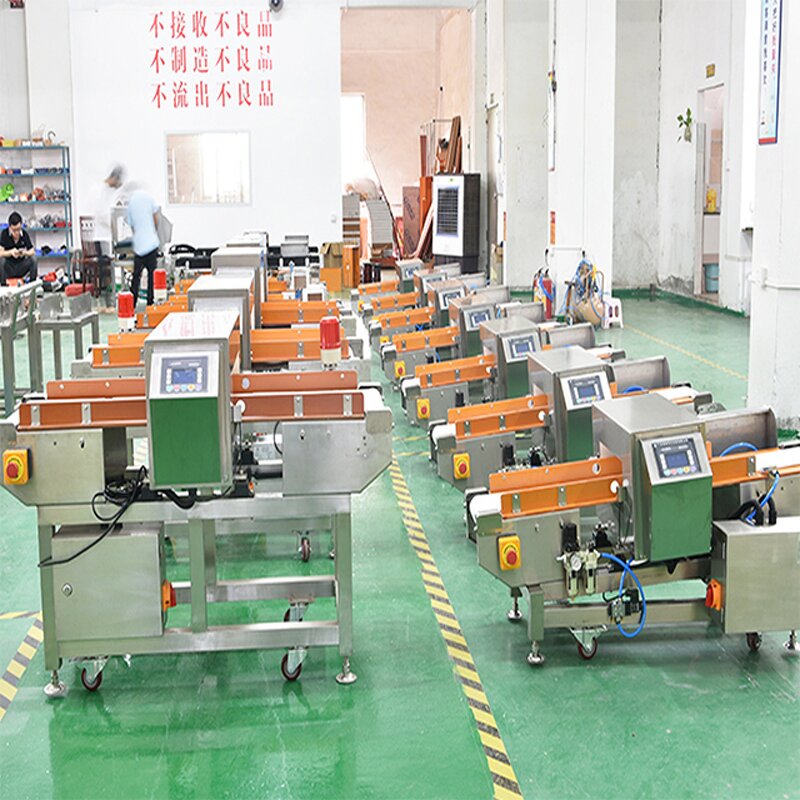 Metal Detector Machine - Food Inspection Iron Instrument for Seasoning