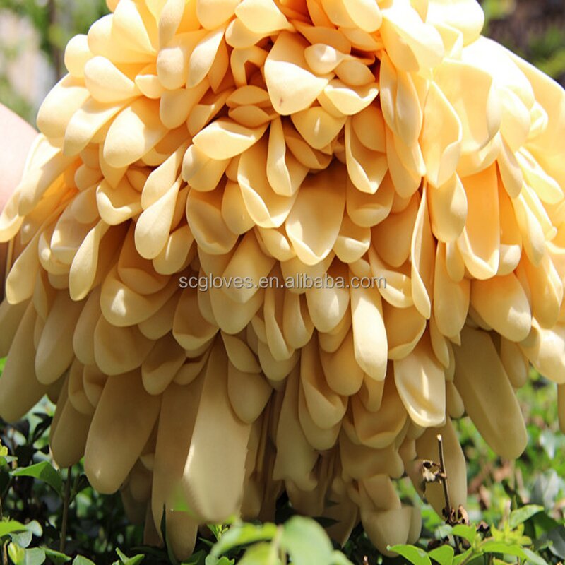 Latex Gloves Manufacturer - Hot Factory Price 12 Inch Disposable Medium Thickness Durable for Catering & Household Cleaning