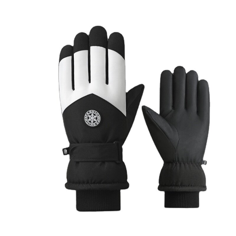 Winter Gloves - New Arrival Windproof Touch Screen for Women