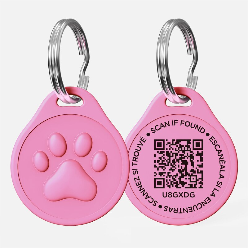 Pet Collar Manufacturer - Custom Anti-Lost NFC Dog Tag OEM/ODM