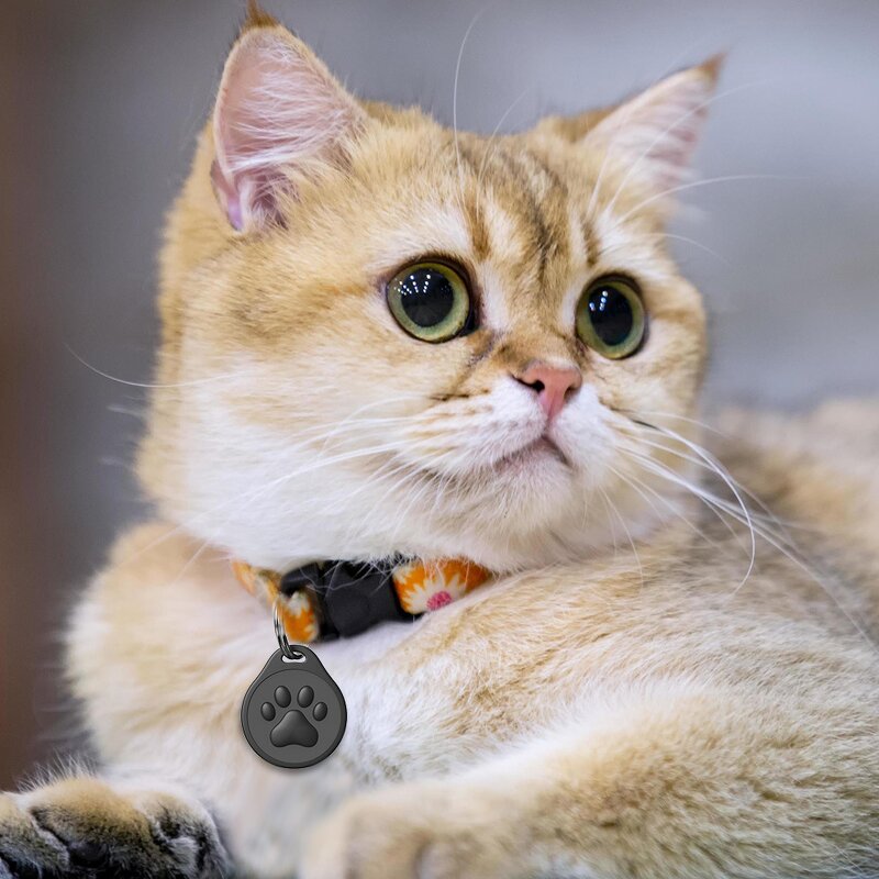 Pet Collar Manufacturer - Custom Anti-Lost NFC Dog Tag OEM/ODM