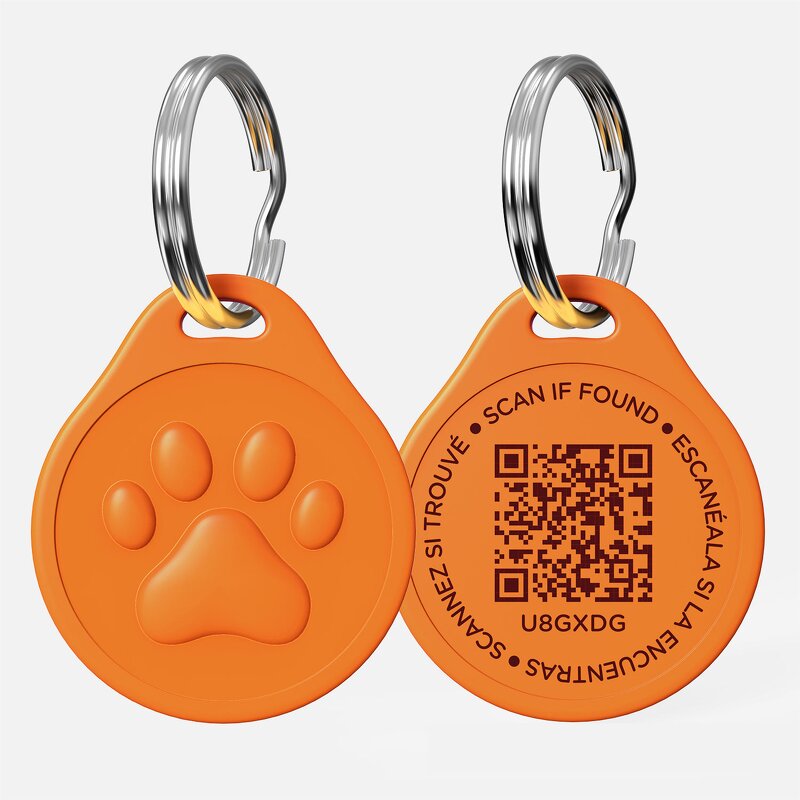Pet Collar Manufacturer - Custom Anti-Lost NFC Dog Tag OEM/ODM