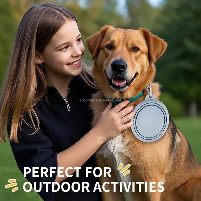 Collapsible Pet Bowl Supplier - Slow Feeder Portable Travel Bowls