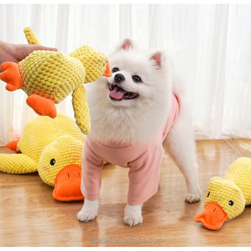 Dog Chew Toy Manufacturer - Squeaky Duck Plush Toy