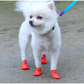 Pet Paw Protect Shoes Manufacturer - Disposable Rain Boots
