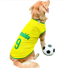 Dog Jersey Manufacturer - Fashionable Sport Shirt