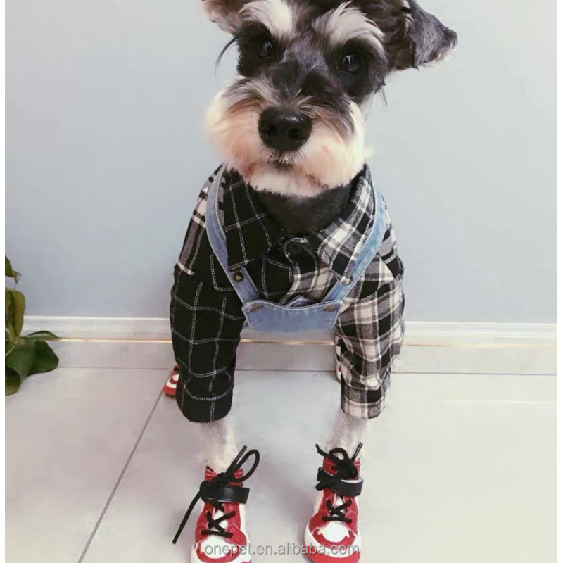 Pet Dog Shoes Manufacturer - Waterproof AJ Shoes