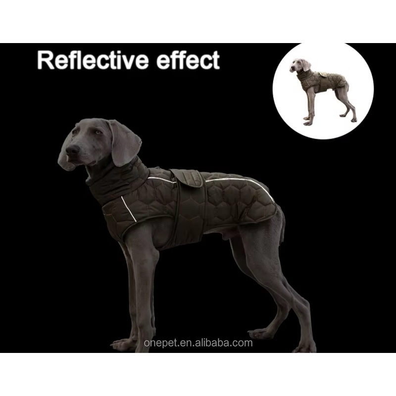 Dog Coat Manufacturer - Waterproof Winter Jacket