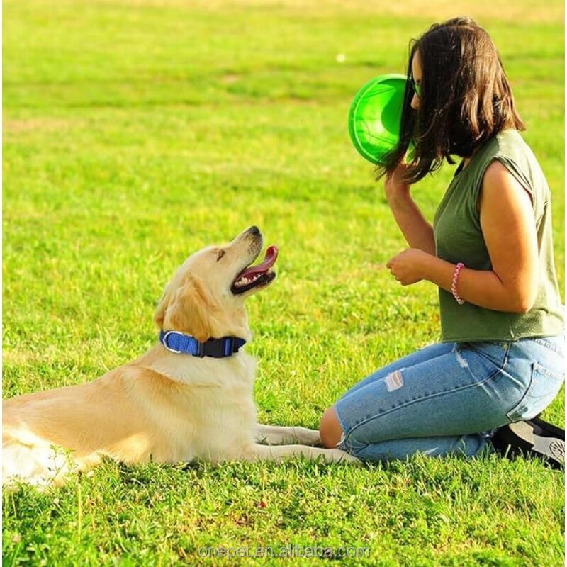 Dog Collar Manufacturer - Soft Padded Nylon Collar