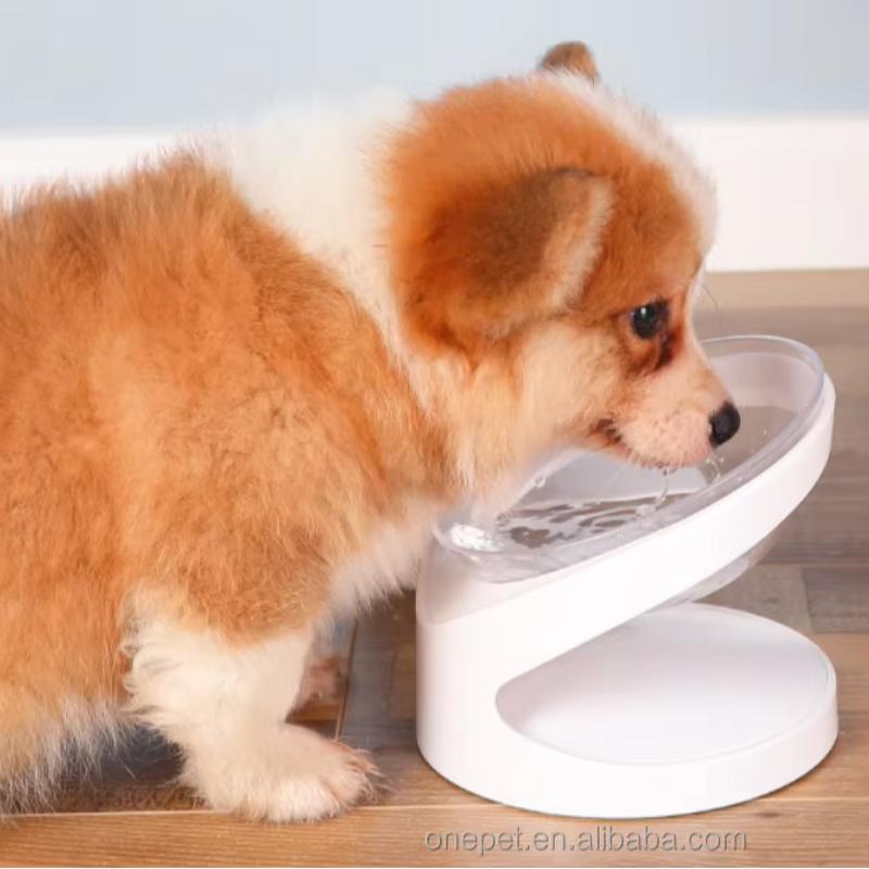 Cat Bowl Manufacturer - Inclined Mouth Protect