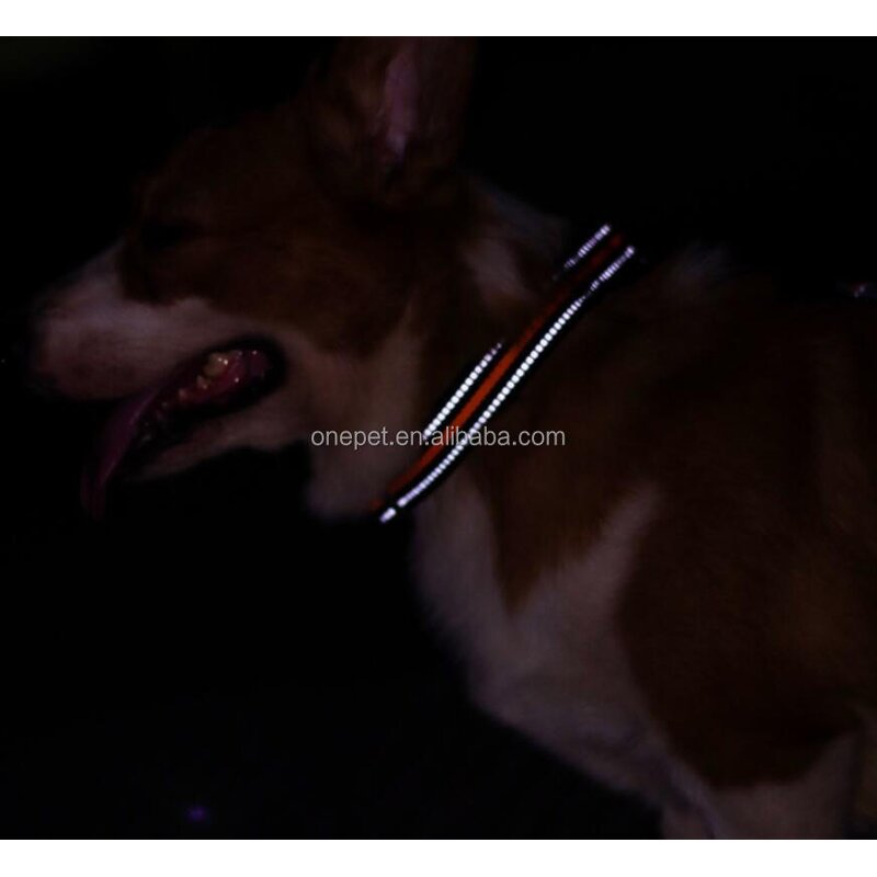 Dog Collar Manufacturer - Reflective Quick Release