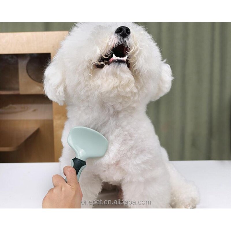 Pet Cleaning Tools Set Manufacturer - 8pcs Grooming Kit