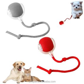 Cat Toy Manufacturer - USB Automatic Rolling Ball