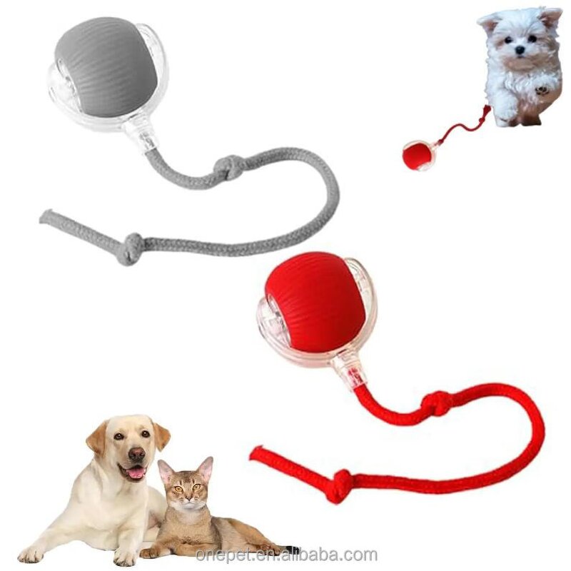 Cat Toy Manufacturer - USB Automatic Rolling Ball
