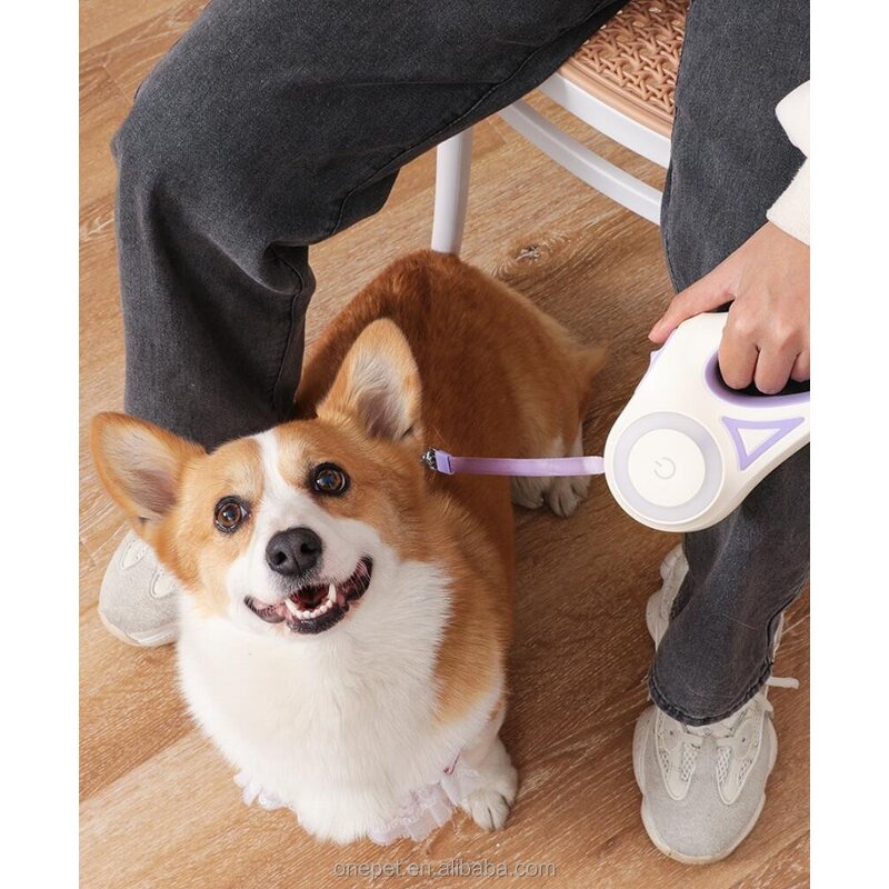 Pet Leash Manufacturer - Automatic Retractable Lead