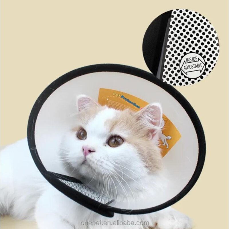 Elizabethan Collar Manufacturer - Anti-Bite Recovery Collar