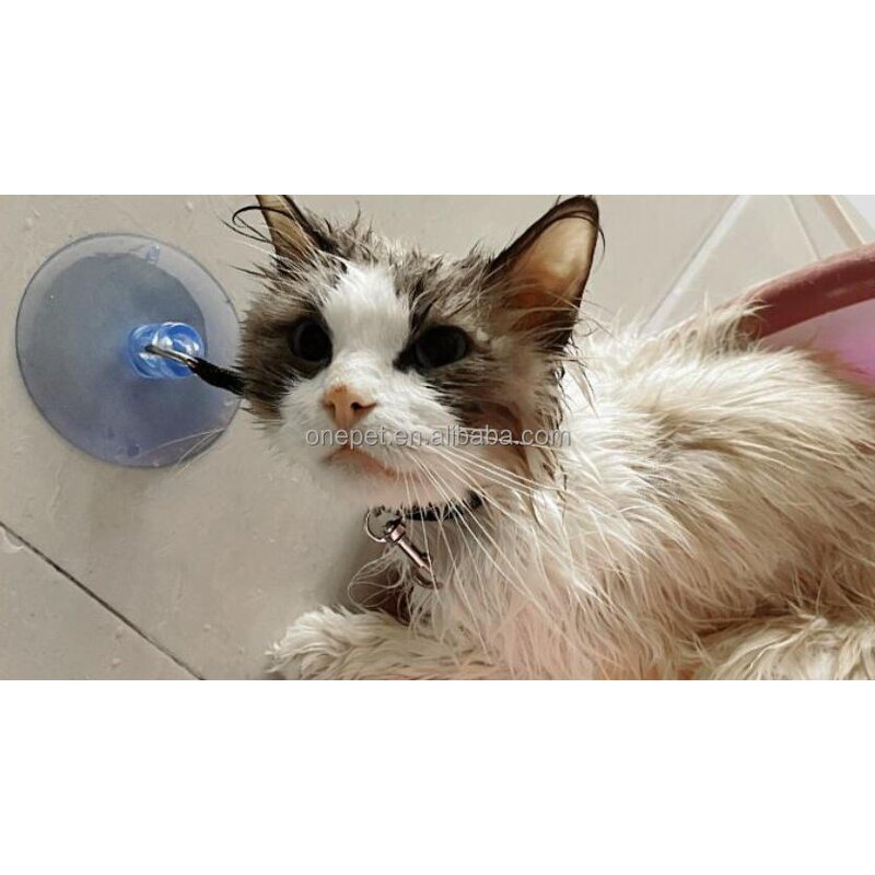 Pet Bathing Fixture Manufacturer - Wall Suction Cup Tool