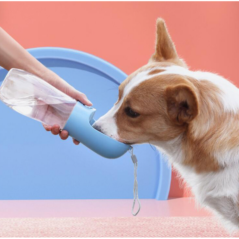 Pet Water Bottle Manufacturer - Outdoor Drinking Cup