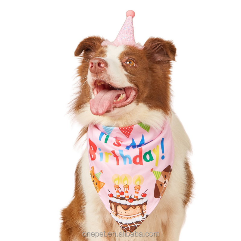 Pet Bandana Manufacturer - Birthday Celebration Design