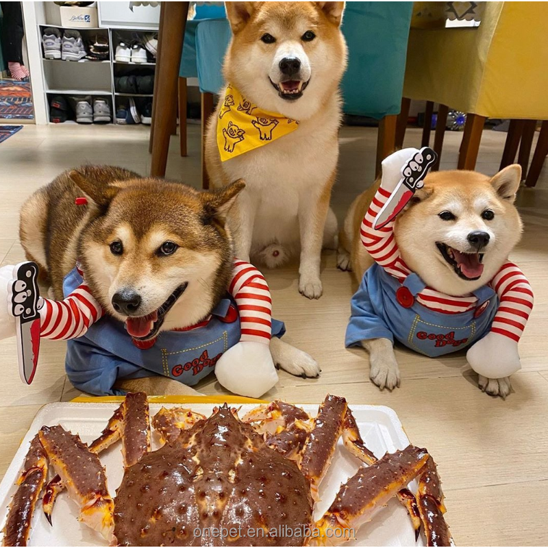 Pet Costume Manufacturer - Halloween Dog Outfit