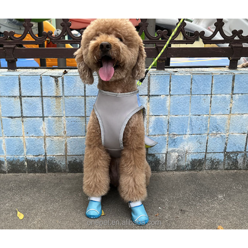 Pet Shoes Manufacturer - Anti-Slip Winter Rubber Socks
