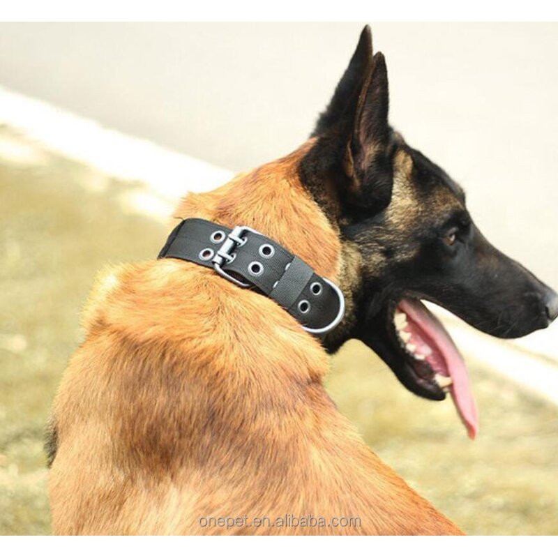 Dog Training Collar Manufacturer - Tactical Nylon Set