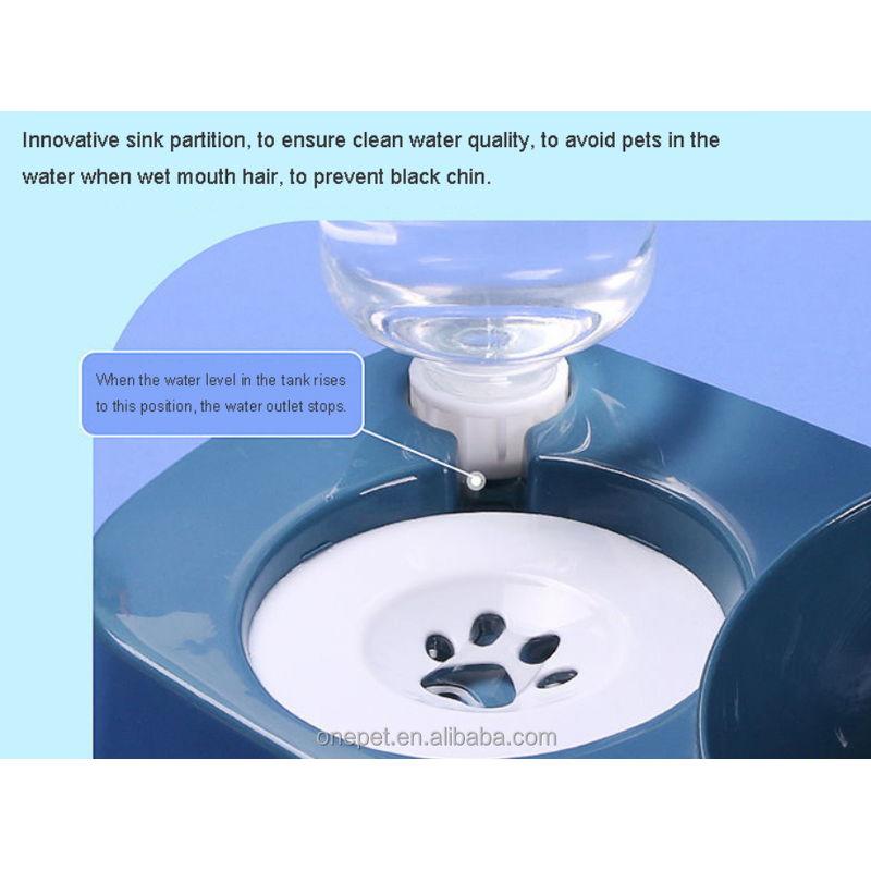 Pet Bowl Manufacturer - Oblique Cervical Vertebrae