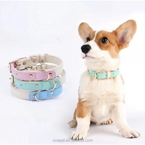 Leather Dog Collar Manufacturer - Quick Release Collar