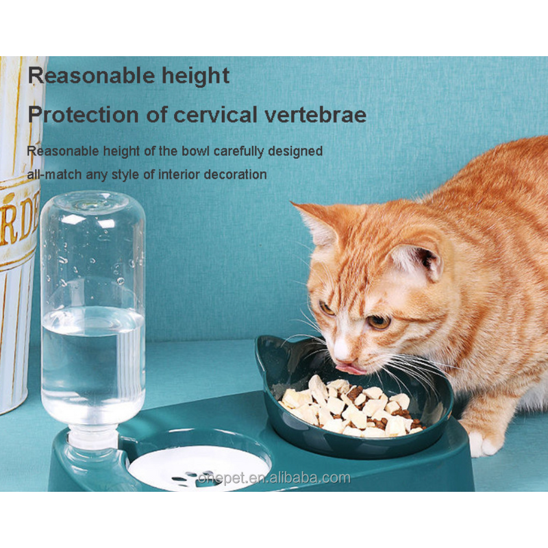 Pet Bowl Manufacturer - Oblique Cervical Vertebrae