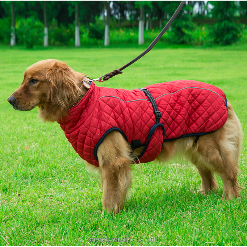 Dog Jacket Manufacturer - Cold Weather Padded Coat