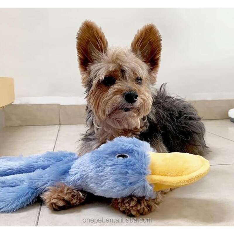 Dog Toy Manufacturer - Crinkle Duck Chew Toy