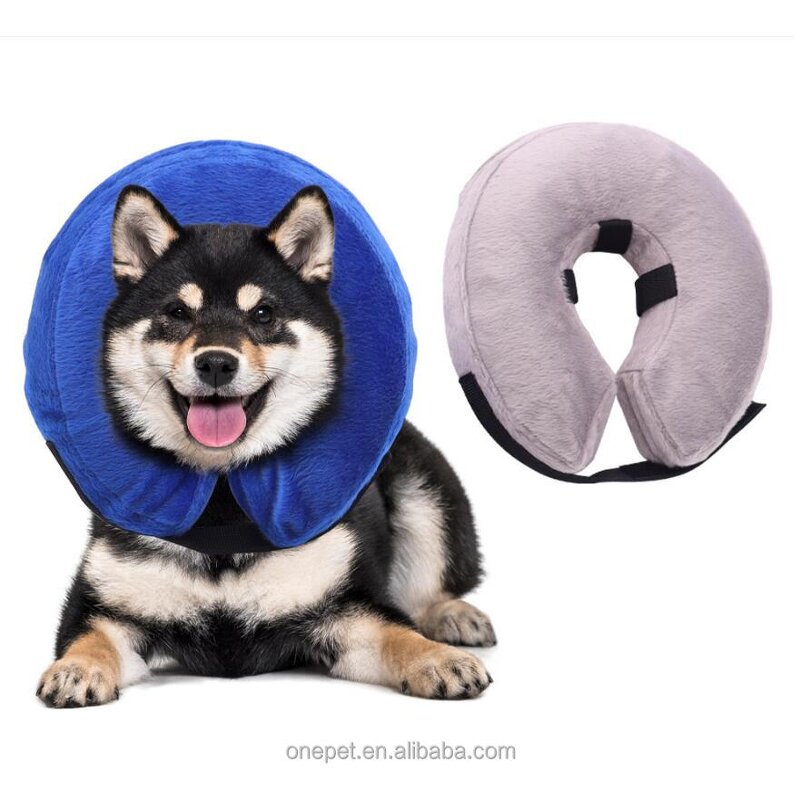 Pet Recovery Collar Manufacturer - Inflatable Dog Cone