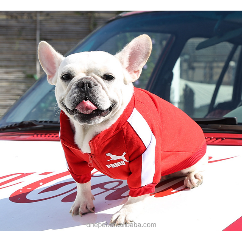 Pet Sweatshirt Manufacturer - Solid Blank Zipper