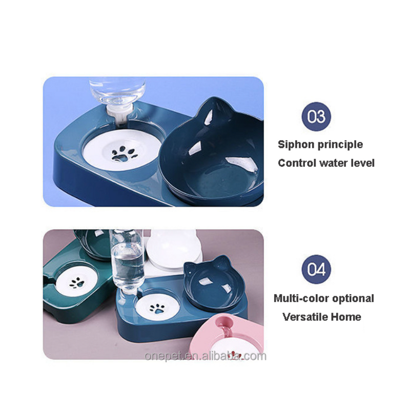 Pet Bowl Manufacturer - Oblique Cervical Vertebrae