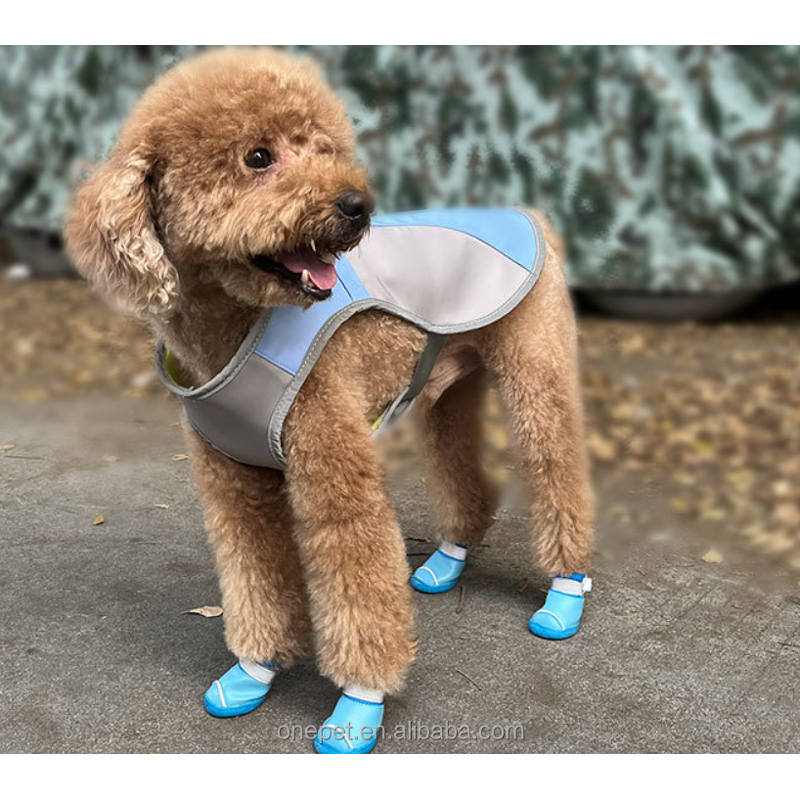 Pet Shoes Manufacturer - Anti-Slip Winter Rubber Socks