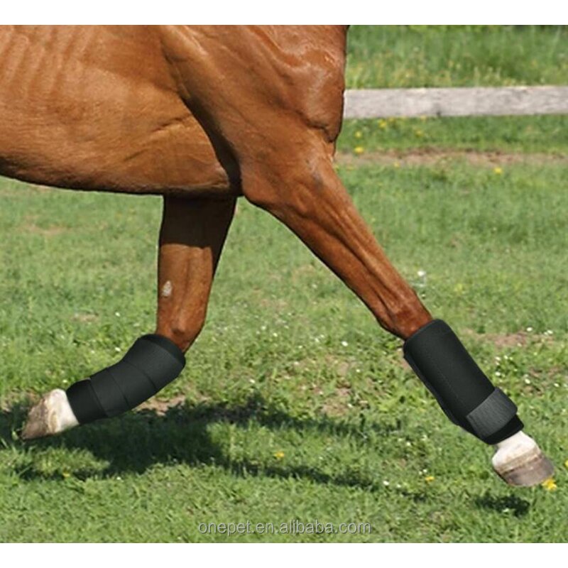 Horse Leggings Manufacturer - Protective Leg Cover Supplier